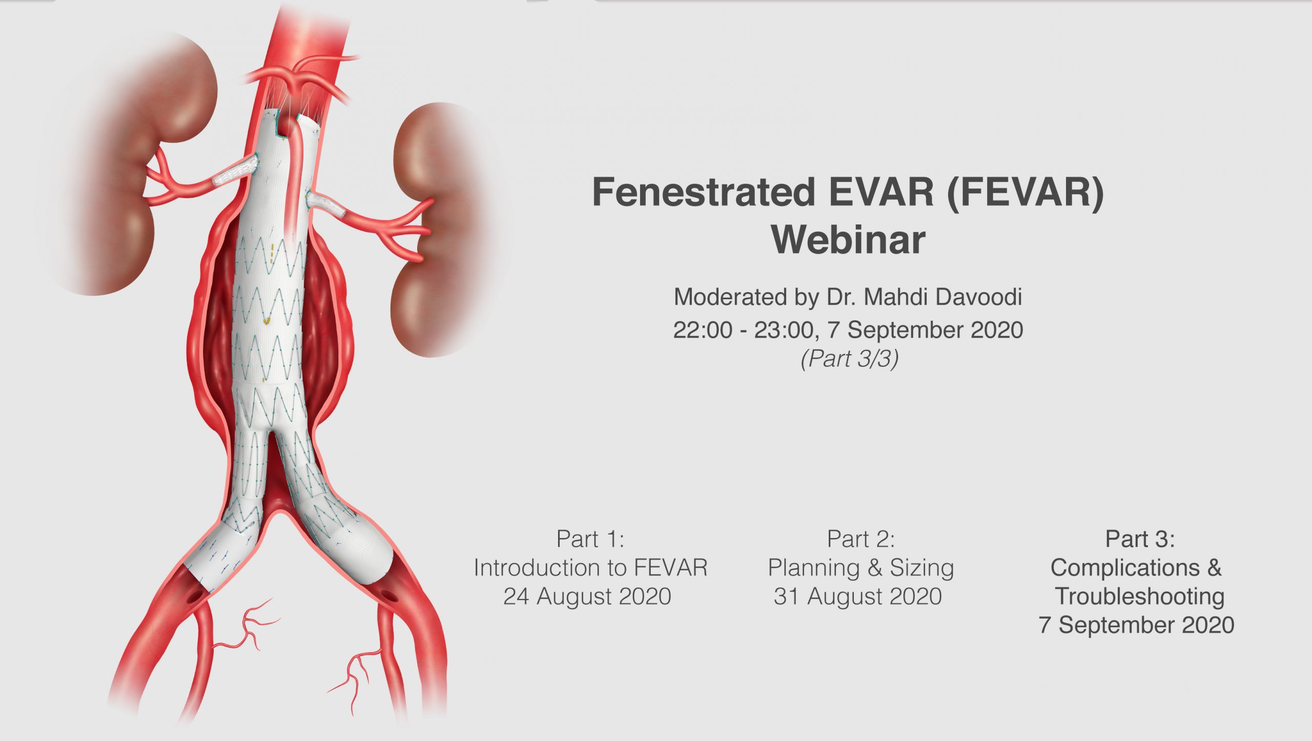 FEVAR Webinar Poster_p3