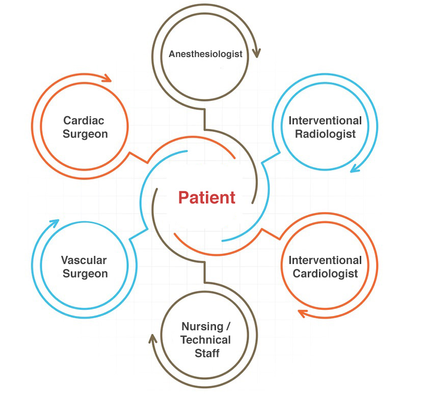 Why Multidisciplinary Teams Are Essential for Successful Endovascular Aortic Therapy